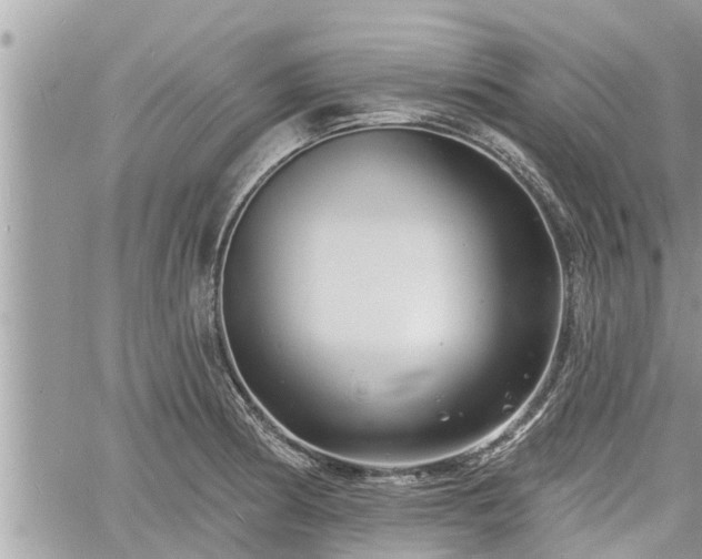 X0000060741186200511171049