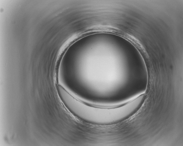 X0000060741188200511171049