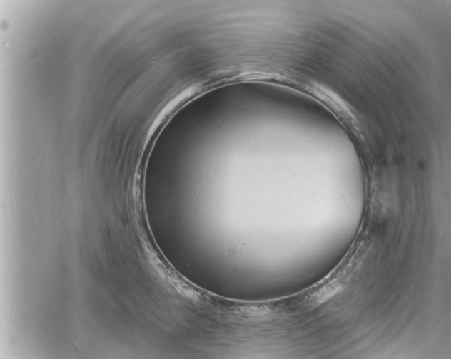 X0000060741190200511171049