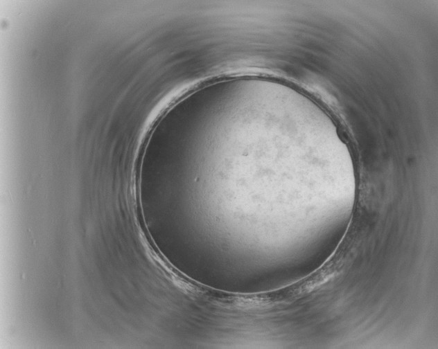 X0000060741191200511171049