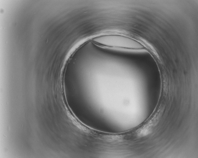 X0000060741192200511171049