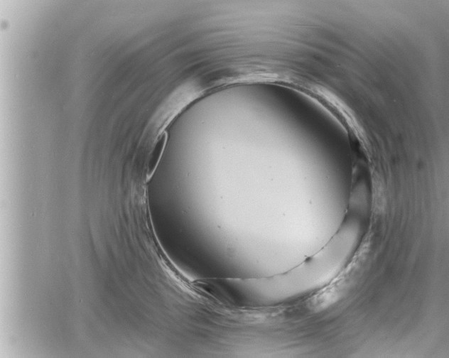 X0000060741193200511171049