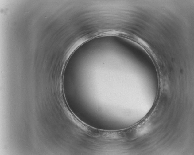 X0000060741194200511171049