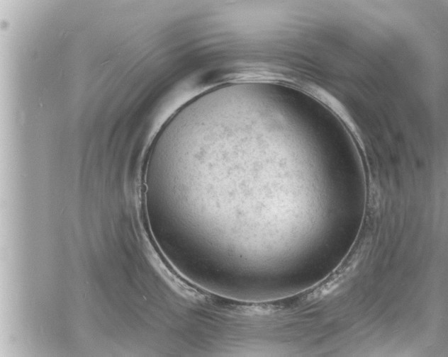 X0000060741195200511171049