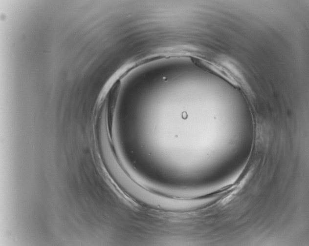 X0000060741196200511171049