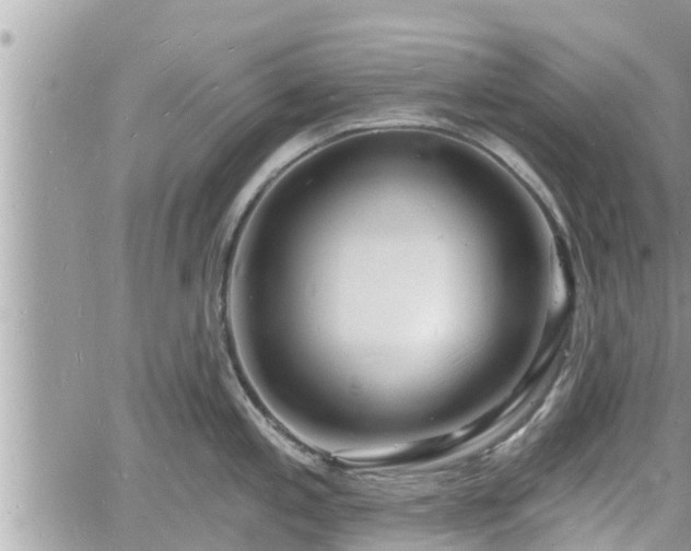 X0000060741197200511171049