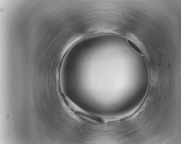 X0000060741198200511171049