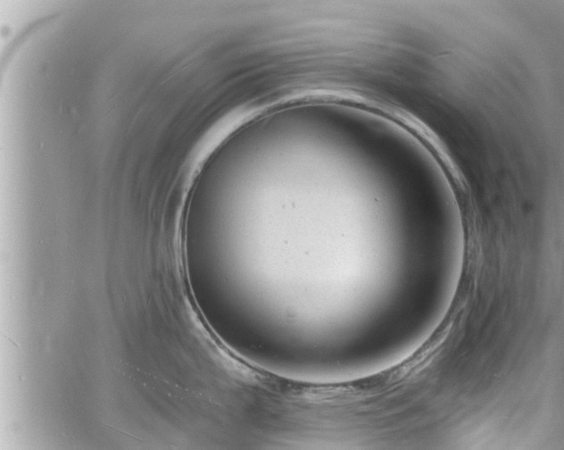 X0000060741199200511171049