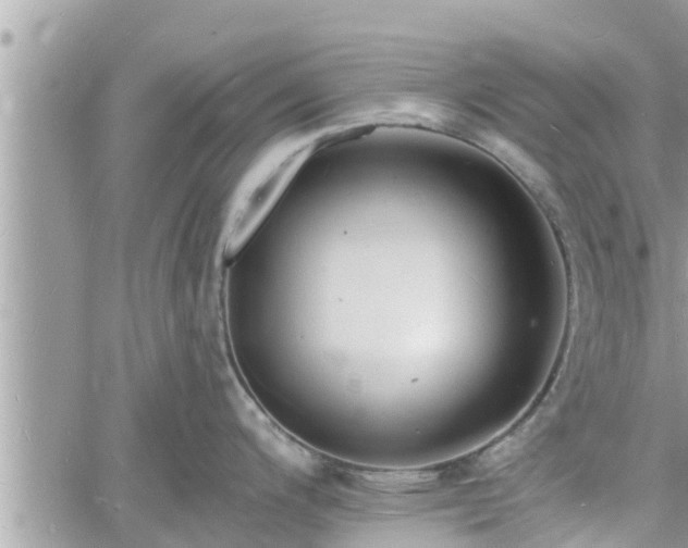 X0000060741200200511171049