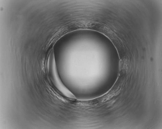 X0000060741202200511171048