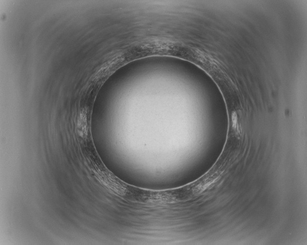 X0000060741203200511171048