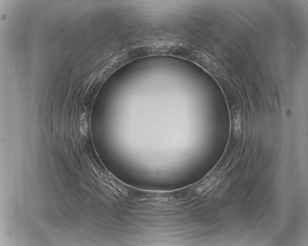 X0000060741204200511171048