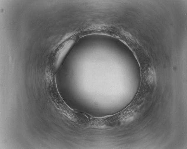 X0000060741206200511171048