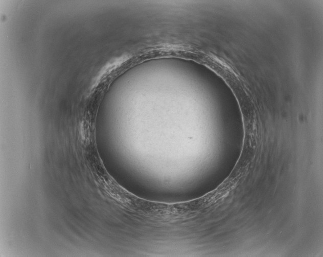 X0000060741207200511171048