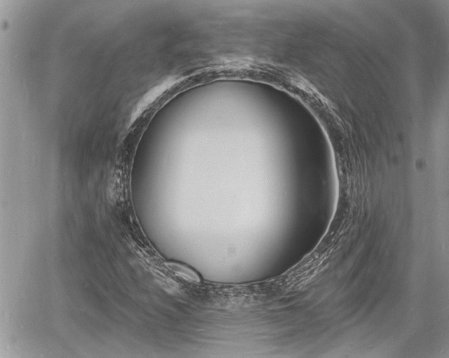 X0000060741208200511171048