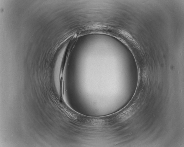 X0000060741209200511171048