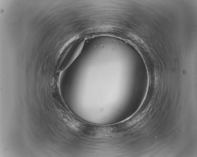 X0000060741210200511171048