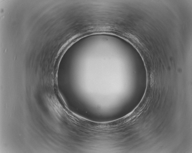 X0000060741212200511171048