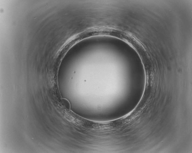 X0000060741213200511171048