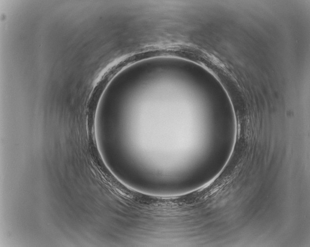 X0000060741214200511171048