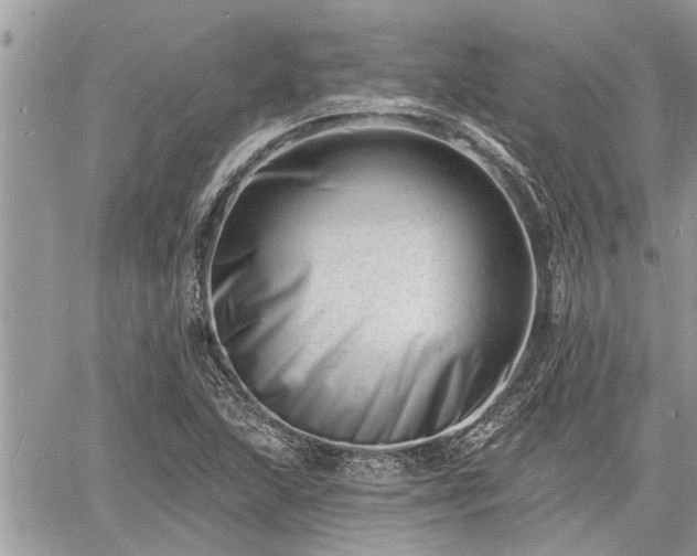 X0000060741215200511171048