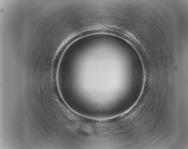 X0000060741216200511171049