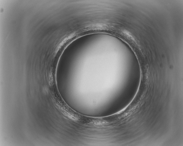 X0000060741218200511171049