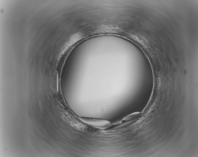 X0000060741219200511171049