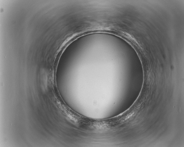 X0000060741220200511171049