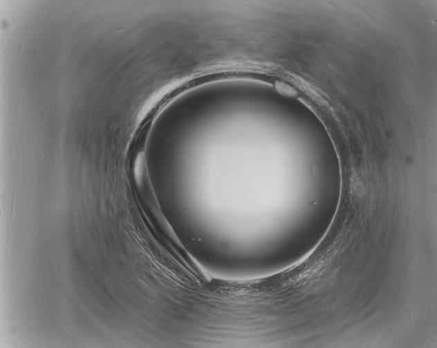 X0000060741222200511171049