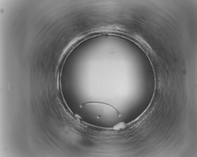 X0000060741224200511171049