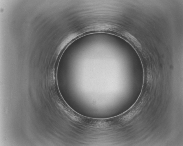 X0000060741226200511171049