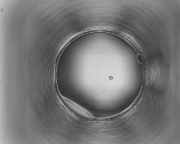 X0000060741228200511171049