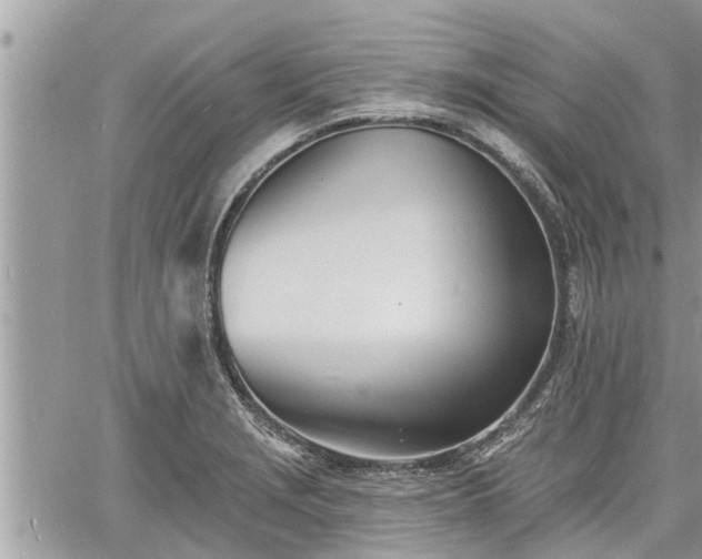 X0000060741229200511171049