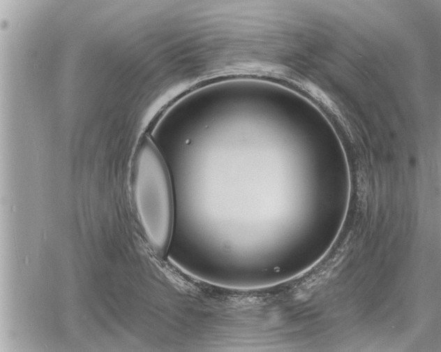 X0000060741230200511171049