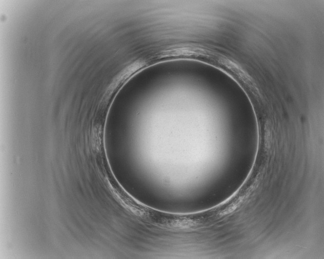 X0000060741233200511171049