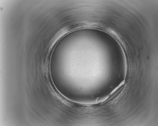 X0000060741235200511171049