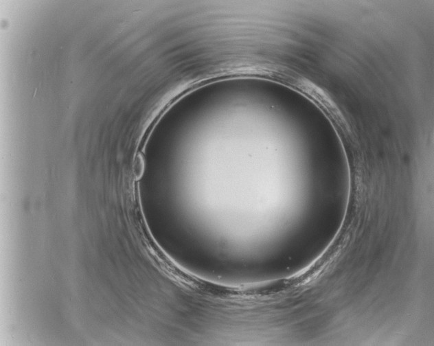 X0000060741236200511171049