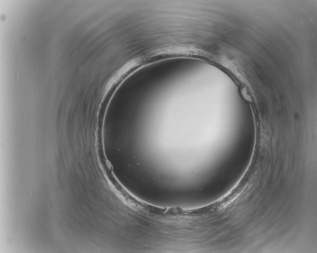 X0000060741237200511171049