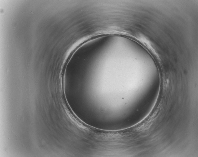 X0000060741238200511171049