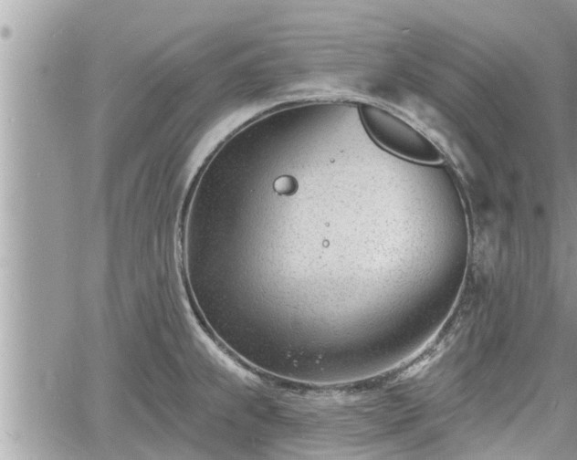 X0000060741239200511171049