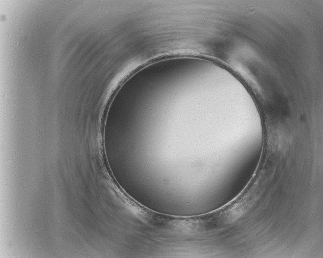 X0000060741240200511171049