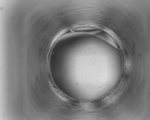 X0000060741242200511171049