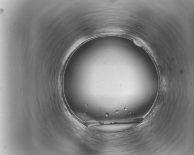 X0000060741243200511171049