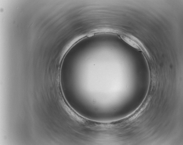 X0000060741244200511171049