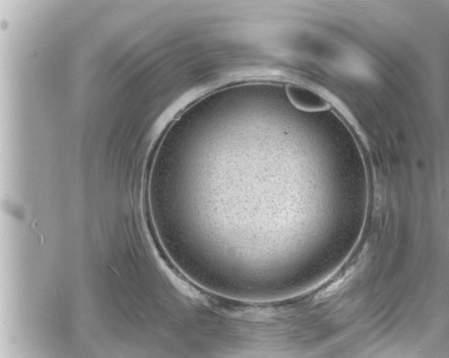 X0000060741245200511171049