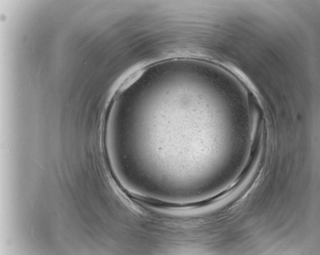 X0000060741246200511171049