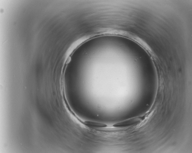 X0000060741247200511171049