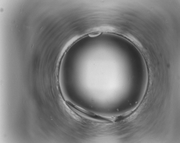 X0000060741248200511171049