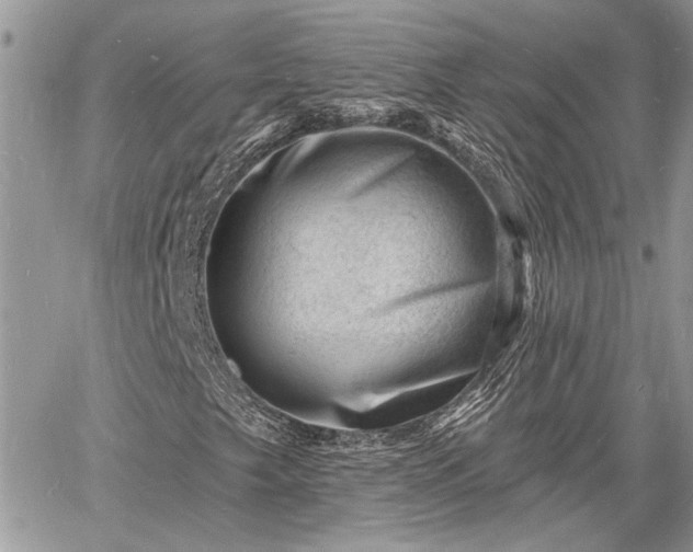 X0000060741249200511171048